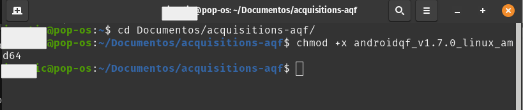 image 1 Screenshot of a Linux terminal running the *chmod +x* command to add execution permissions to the binary.