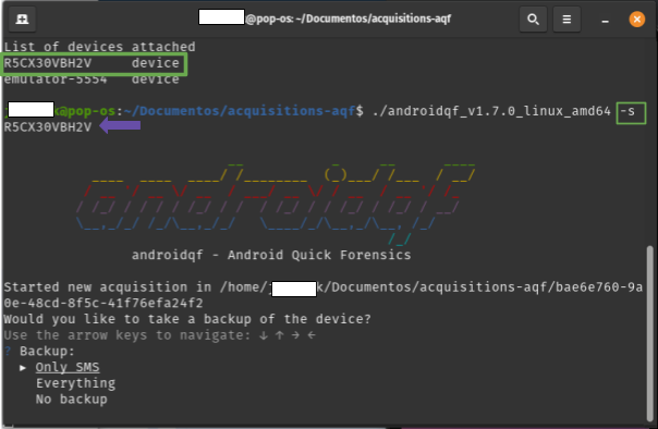   Captura de pantalla de terminal de linux con integración del parámetro *-s*.