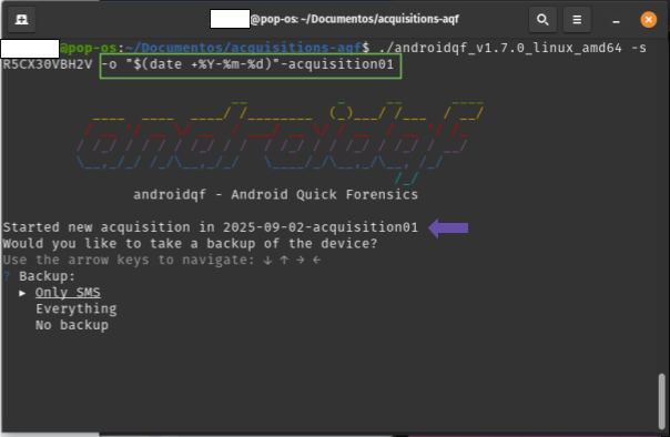   Captura de pantalla de terminal de linux con integración del parámetro *-o*.