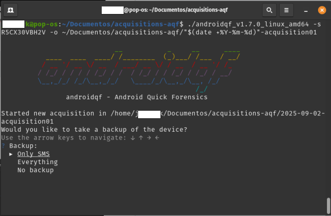   Captura de pantalla de terminal de Linux con comando de ejecución preparado