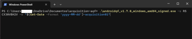   Captura de pantalla de la terminal de Windows PowerShell con comando de ejecución preparado.